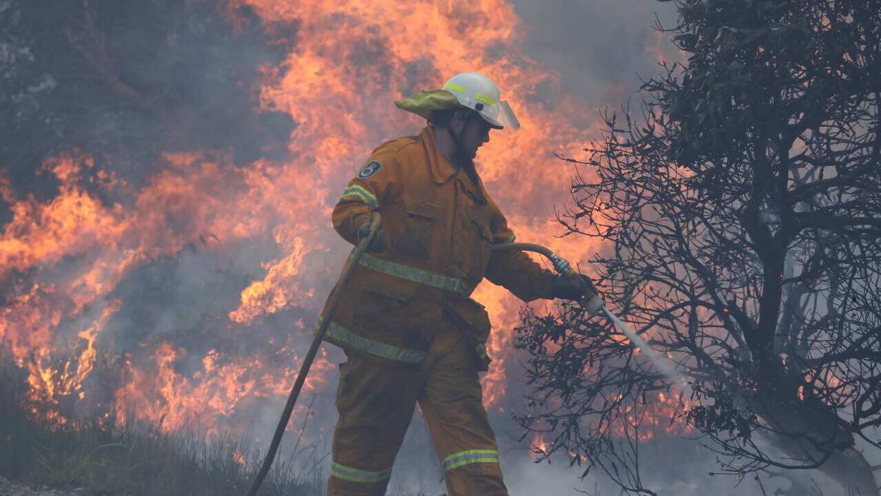 Firefighters battle bushfires at Angourie in northern New South Wales.