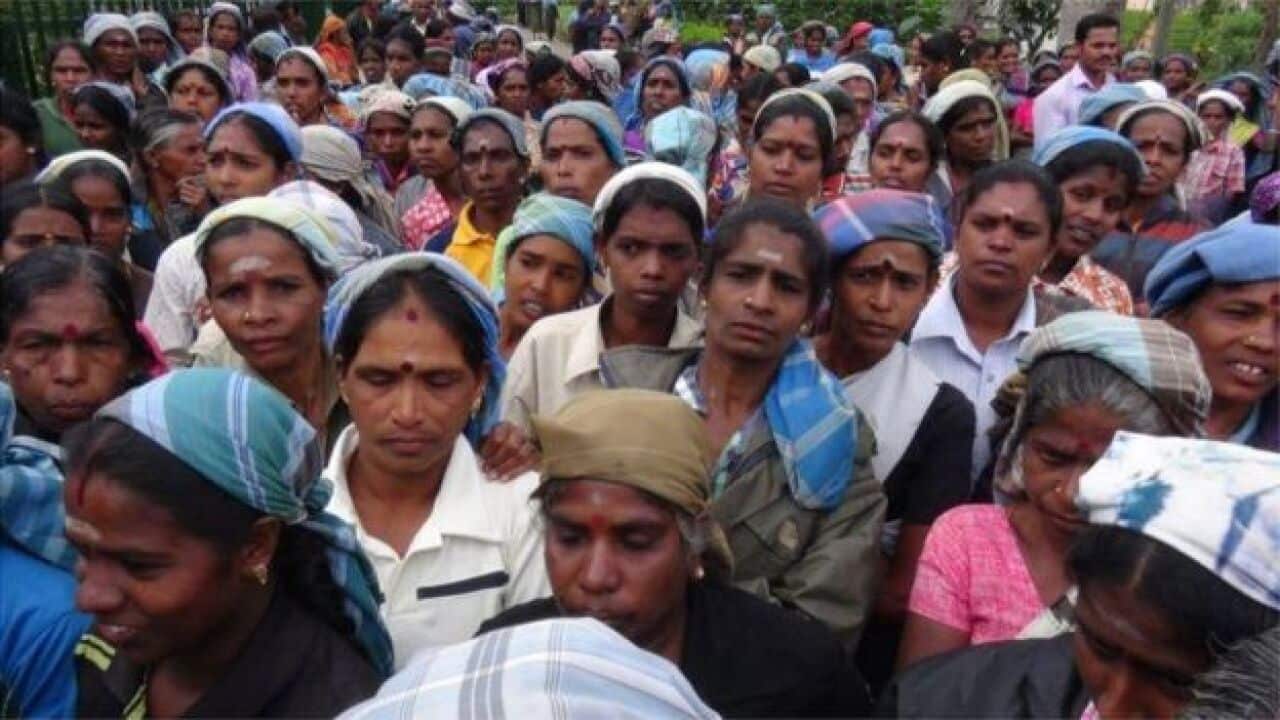 Focus: Sri Lanka