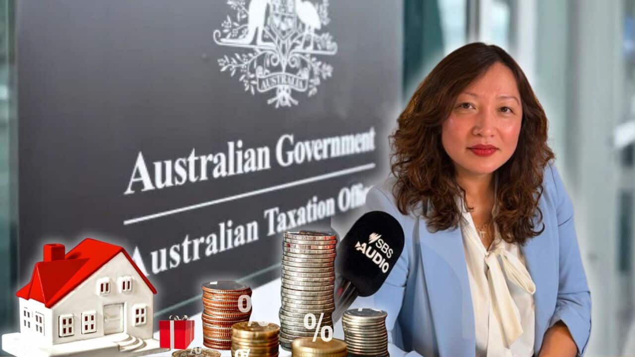 Copy of News+UServices YT Thumbnails.jpg