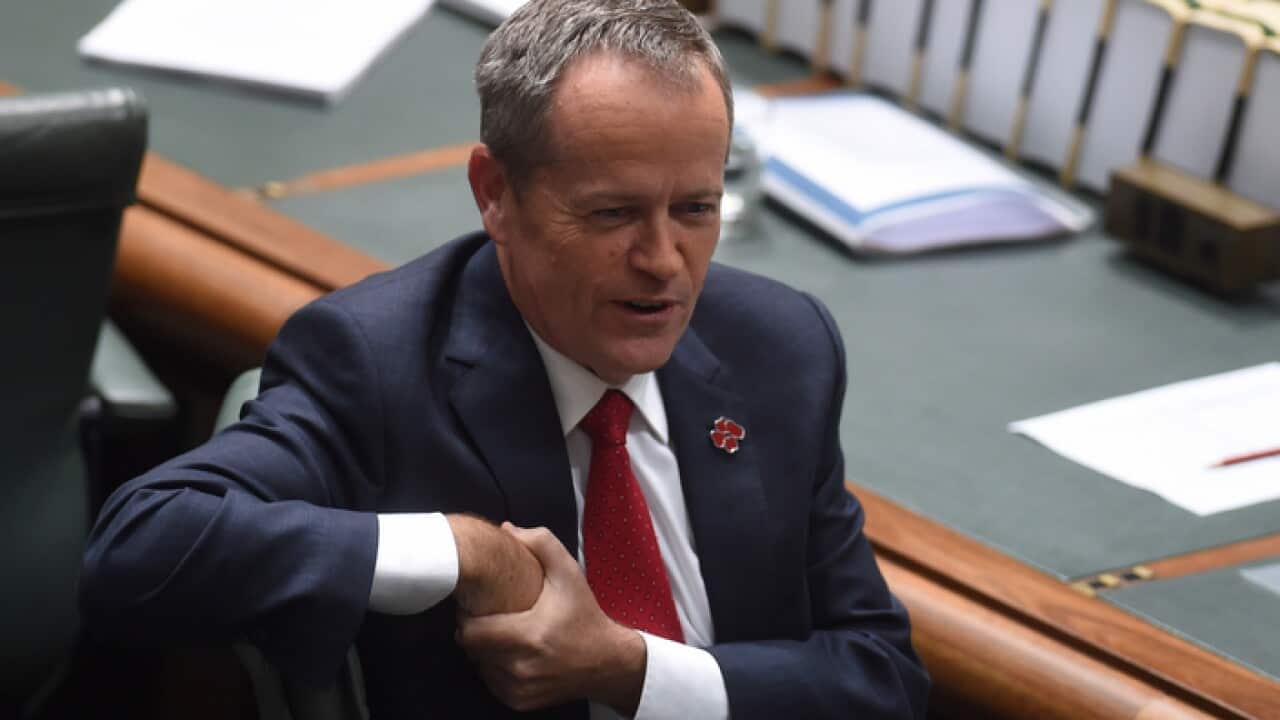 Australia's Opposition Leader Bill Shorten at Parliament House in Canberra
