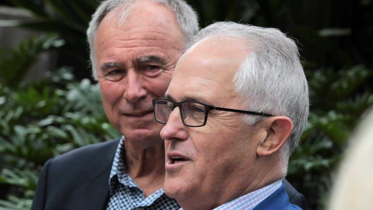 Prime Minister Malcolm Turnbull with John Alexander in the seat of Bennelong on December 9.