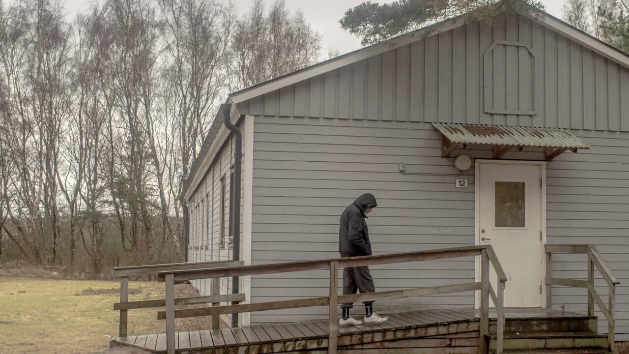 mental illness and refugees