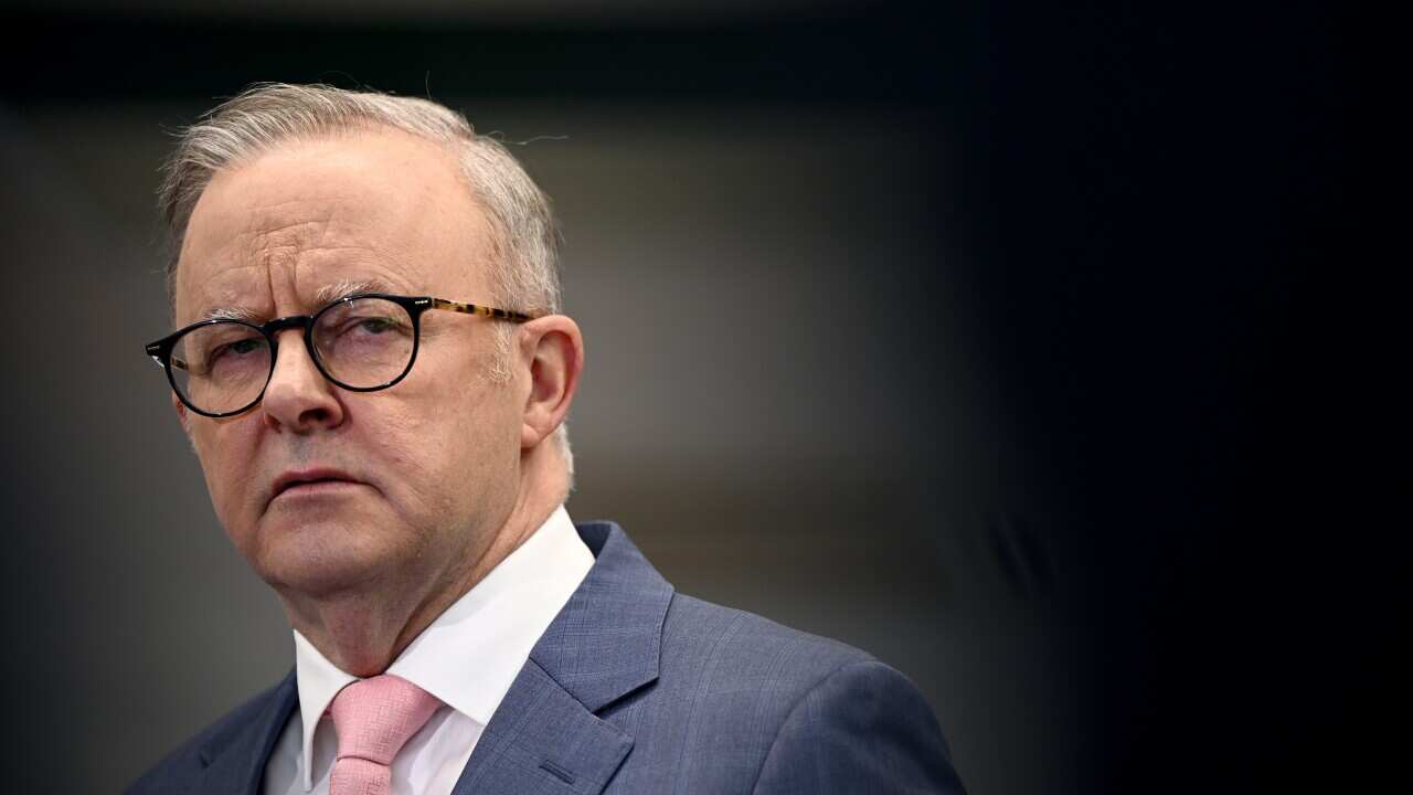 ANTHONY ALBANESE SCHOOL VISIT