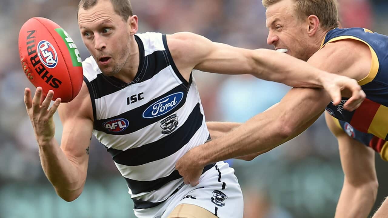 Geelong Cats player James Kelly