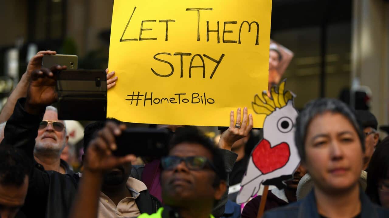 Signs at the Sydney rally