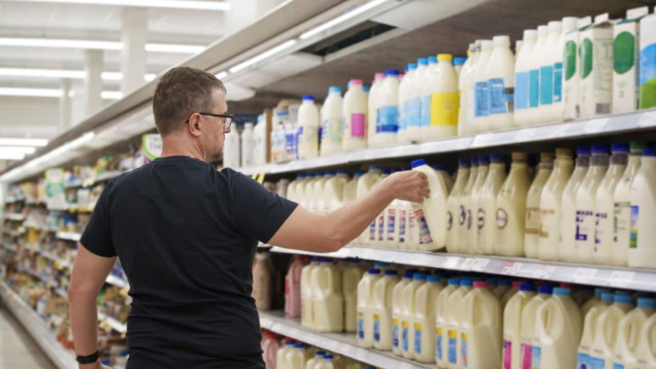 A man deciding on a bottle of milk from the well-stocked supermarket cooler