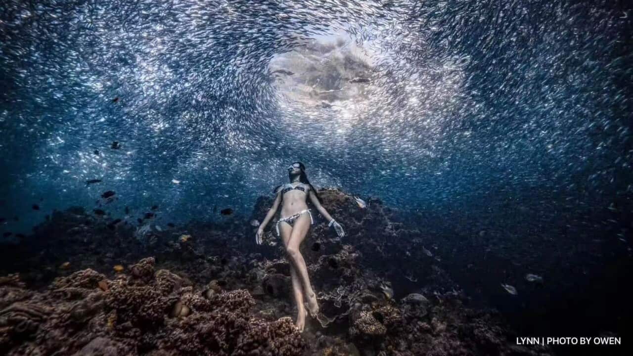 Image for read more article 'READ MORE'