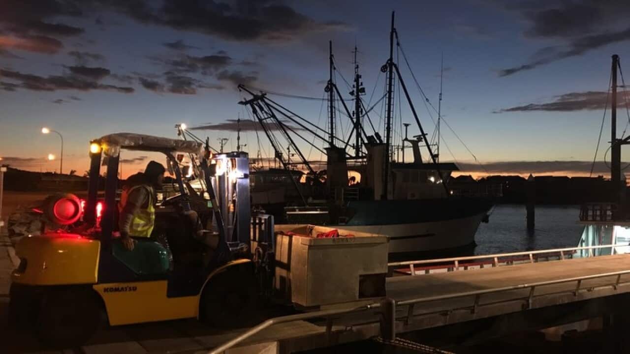 Pre-dawn at the Port Lincoln docks