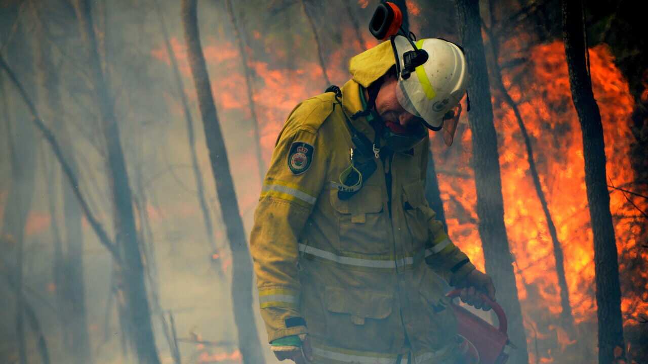 The report warns that devastating fires like those in Black Summer will become all the more common.