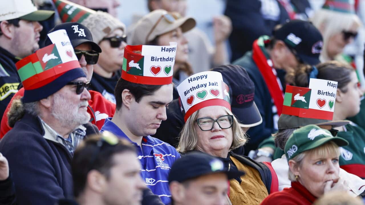 NRL RABBITOHS KNIGHTS