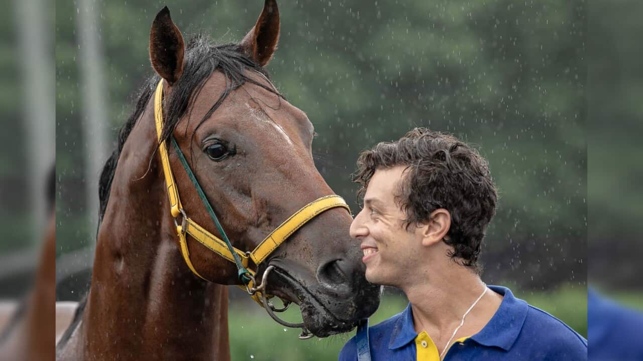 Image for read more article 'Read more'