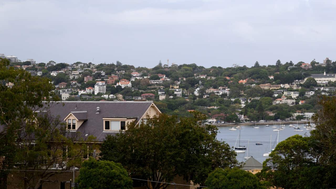 ELECTION25 SEAT OF WENTWORTH