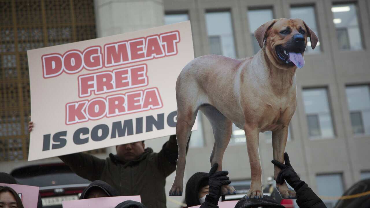 SOUTH KOREA DOG MEAT LAW