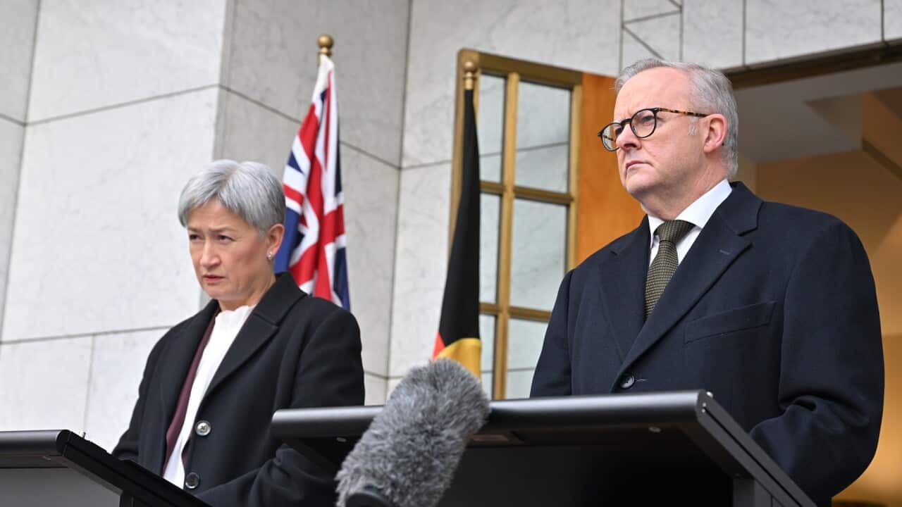 ANTHONY ALBANESE PRESSER