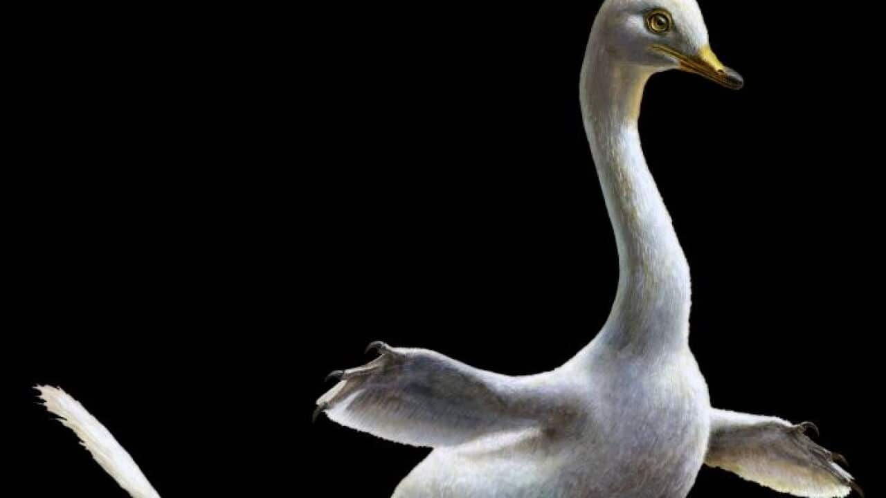 Scientists say it had flippers like a penguin tipped with claws.