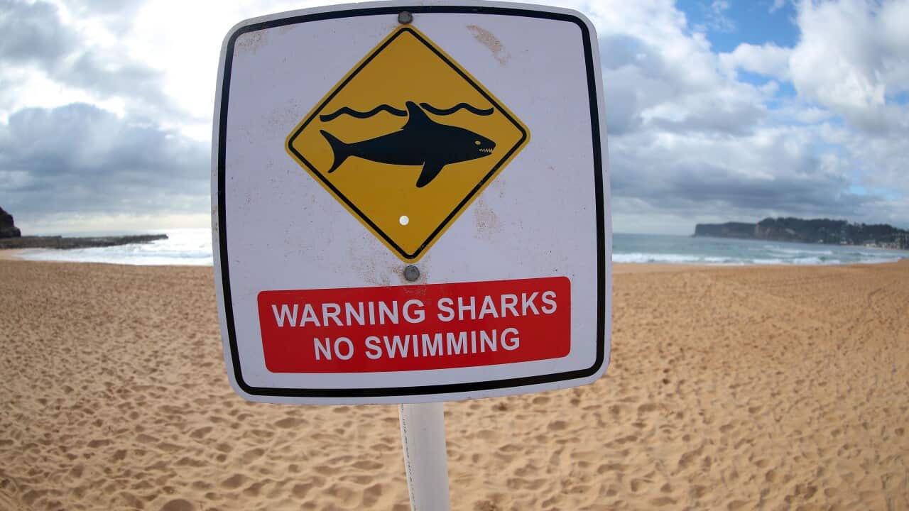 Tanda larangan berenang karena kehadiran ikan hiu