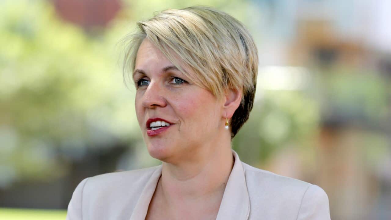 Acting Leader of the Opposition Tanya Plibersek