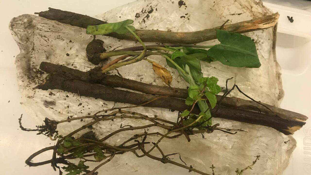 Image for read more article ''