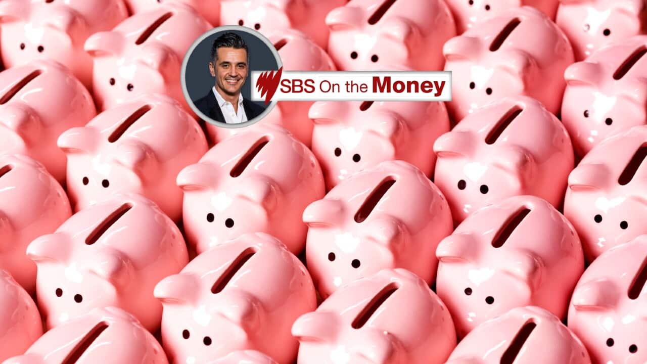 SBS On the Money piggies