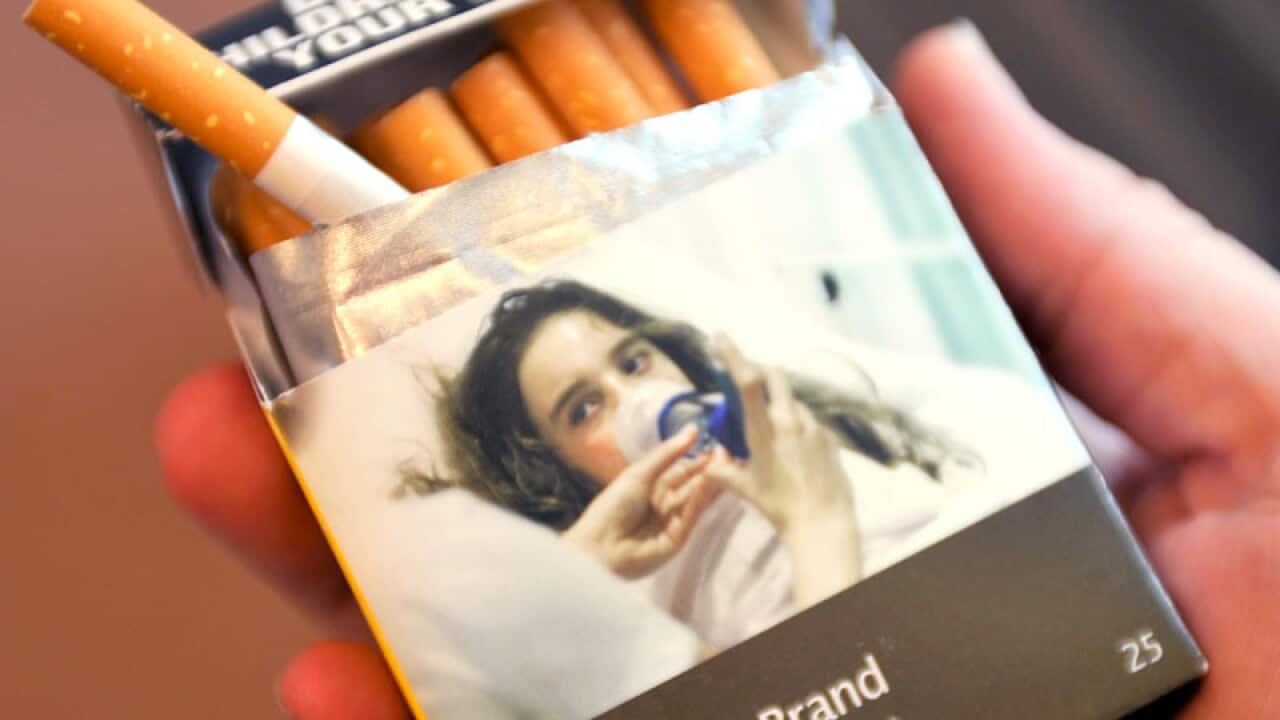 tobacco properties Tobacco Leaves Market Share Dynamics Chemical Properties Production and Global Developments tobacco properties Tobacco Leaves Market Share Dynamics Chemical Properties Production and Global Developments
