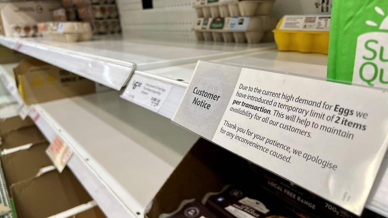 Image for read more article 'READ MORE'