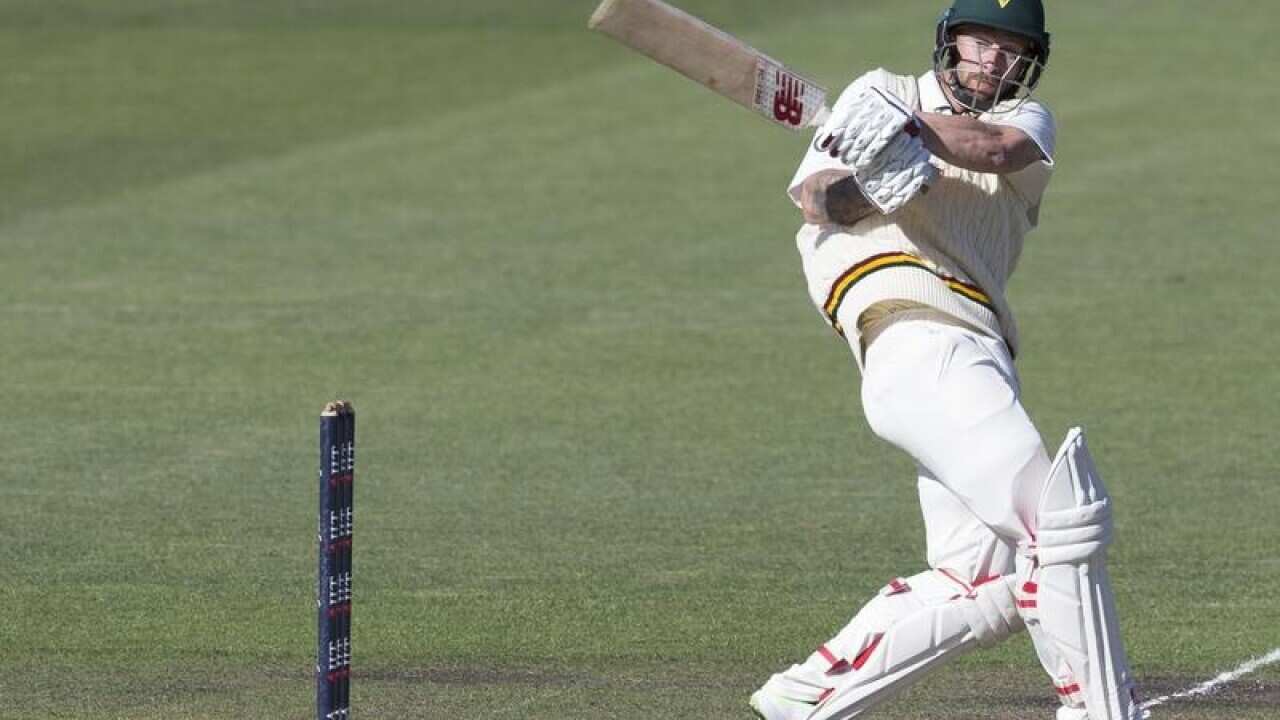 Matthew Wade of Tasmania