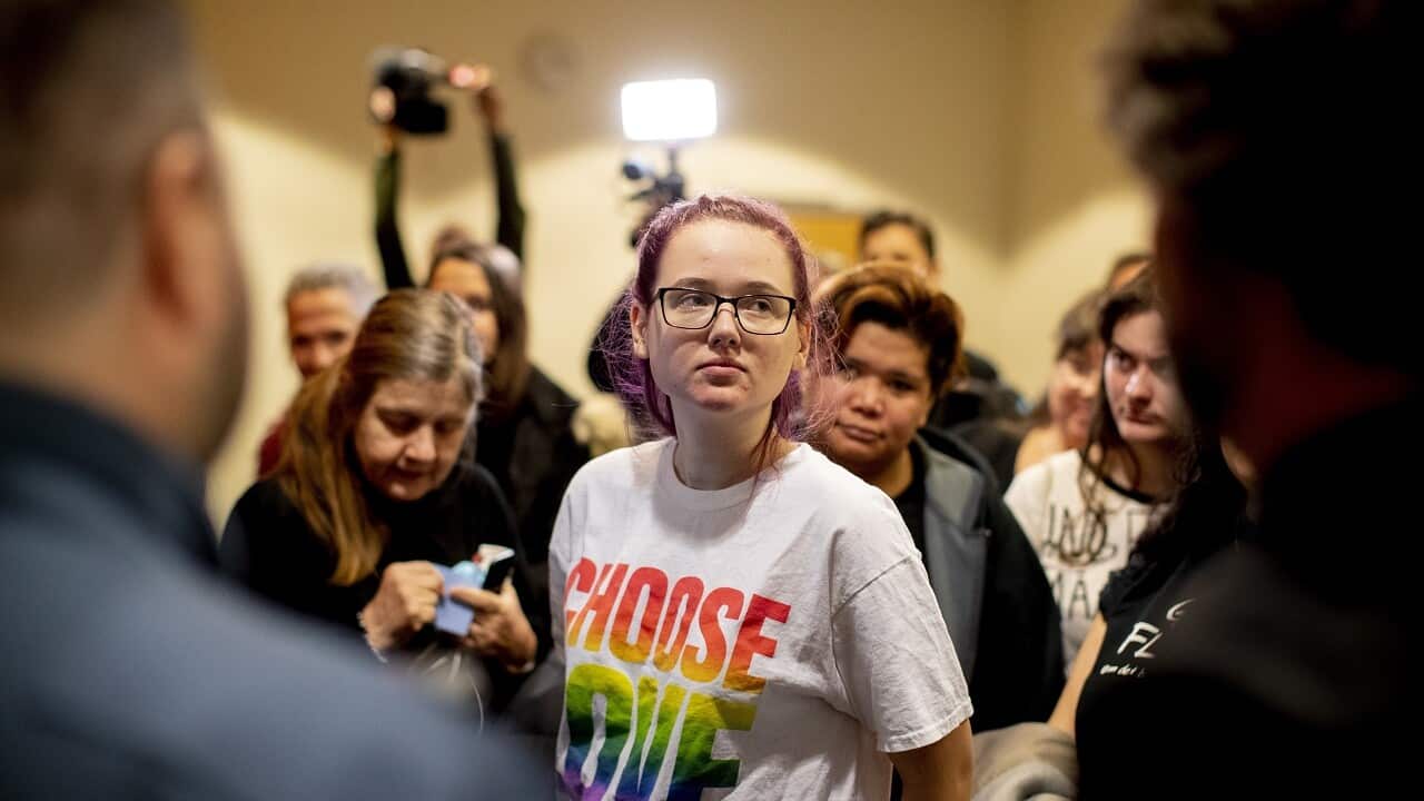 Swedish activist Elin Ersson during her trial.