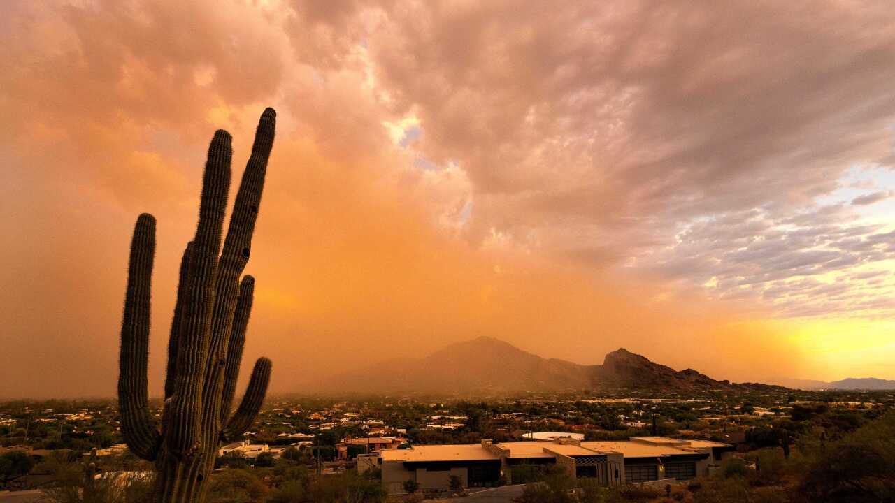 A photo of a cactus with a town and mountain in the background. There are clouds and orange smog in the air.