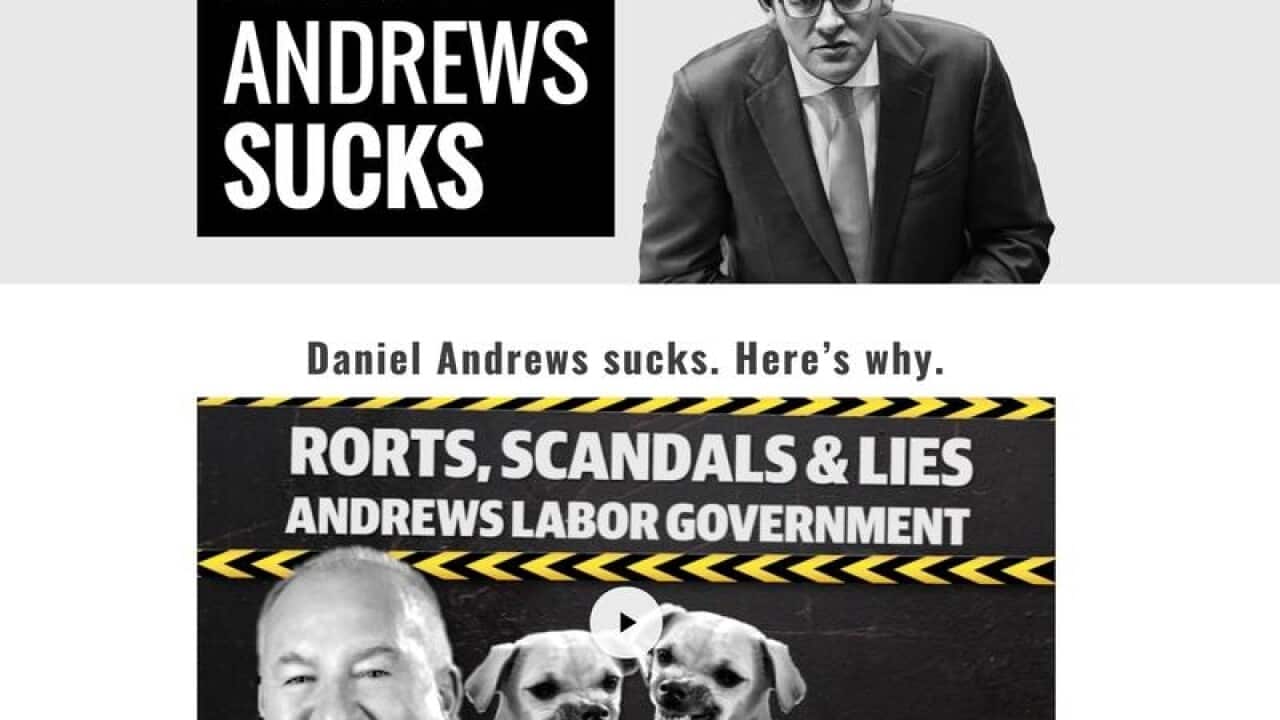 A screenshot of the website.