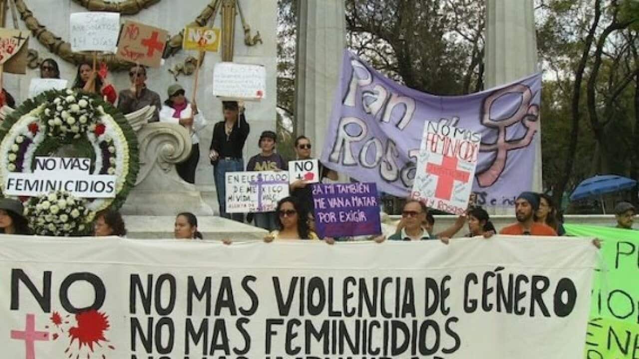 Alert gender, mexico, violence