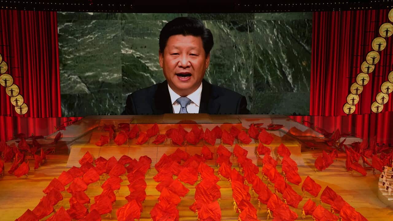 习近平可能终生执政 | SBS 中文