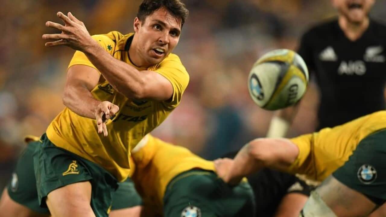 A file image of Wallabies halfback Nick Phipps in action.