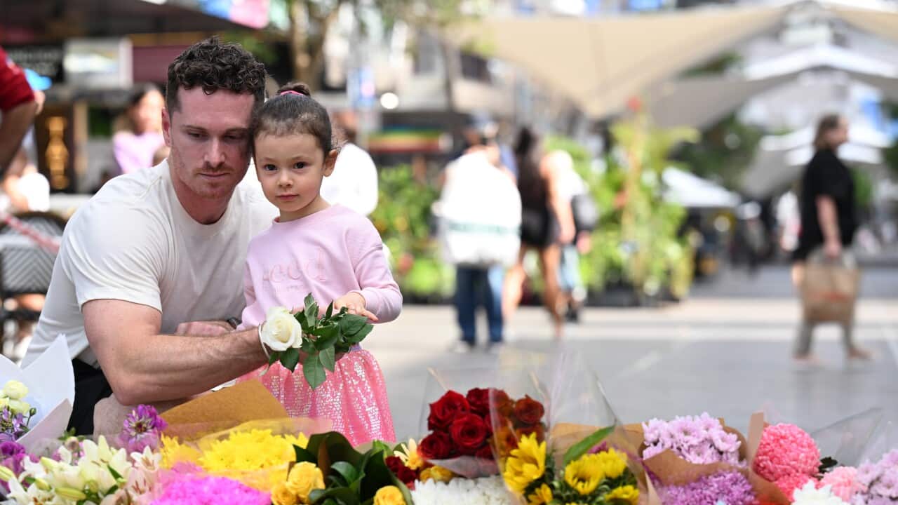 BONDI STABBING MASS MURDER