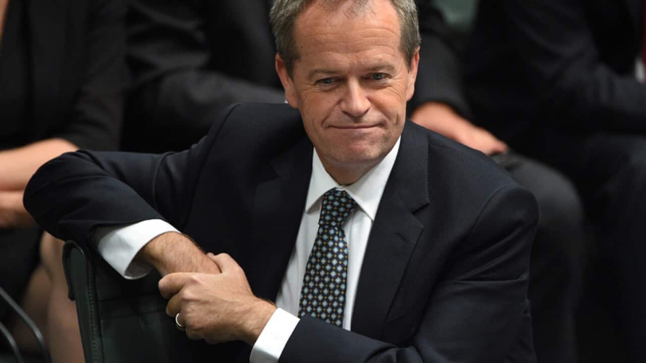 Leader of the Opposition Bill Shorten.