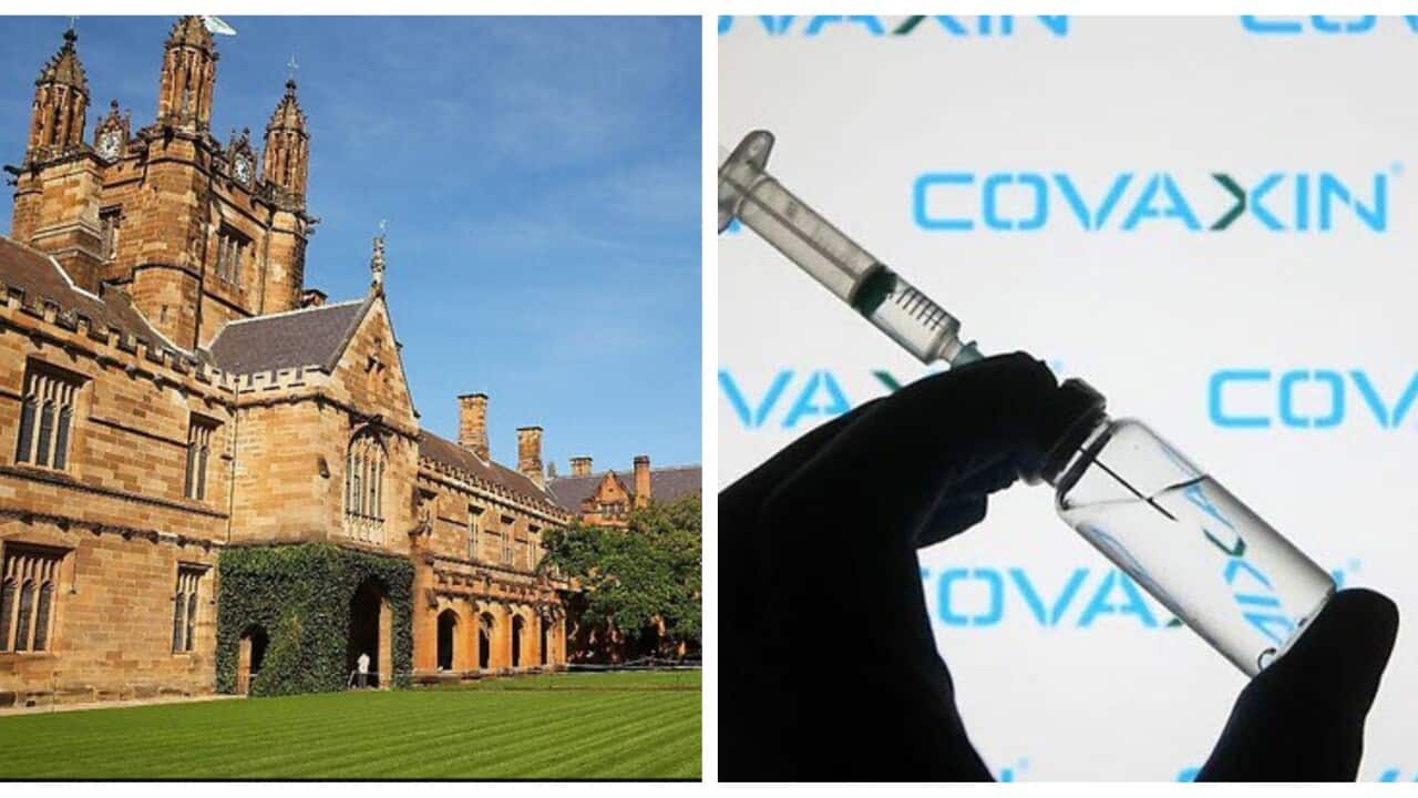 University of Sydney and COVID-19 vaccine by India's Bharat Biotech