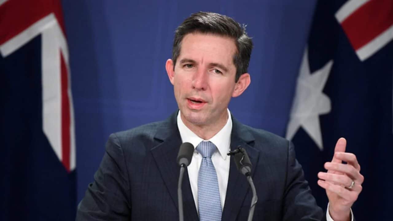 Trade Minister Simon Birmingham (AAP)