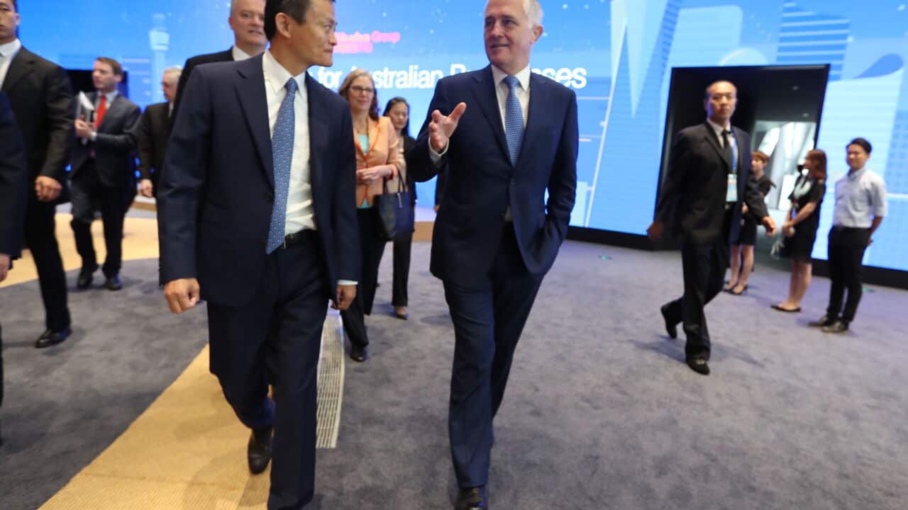 Jack Ma or Ma Yun, left, Chairman of Alibaba Group, talks with Malcolm Turnbull during his visit at headquarters of Chinese e-commerce giant Alibaba.