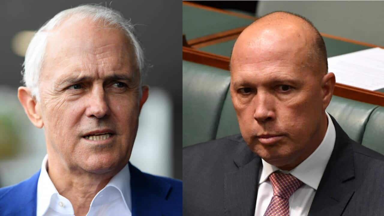 Former prime minister Malcolm Turnbull says Peter Dutton has a lot to explain. 