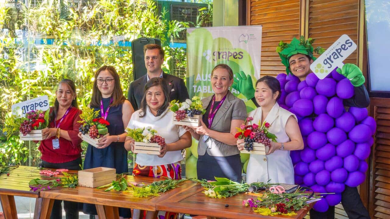 Demand for Australian grapes in the Philippines is expected to rise for the 2025-2026 season