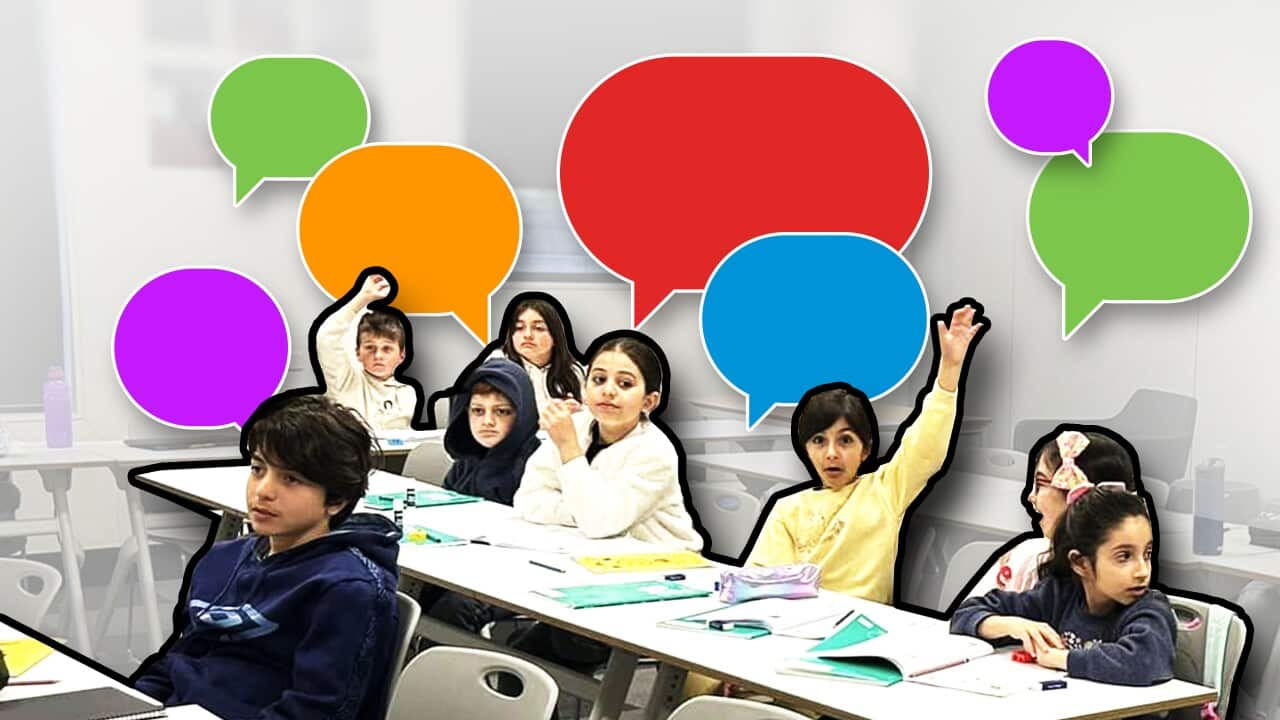 Mother Language HEADER.jpg