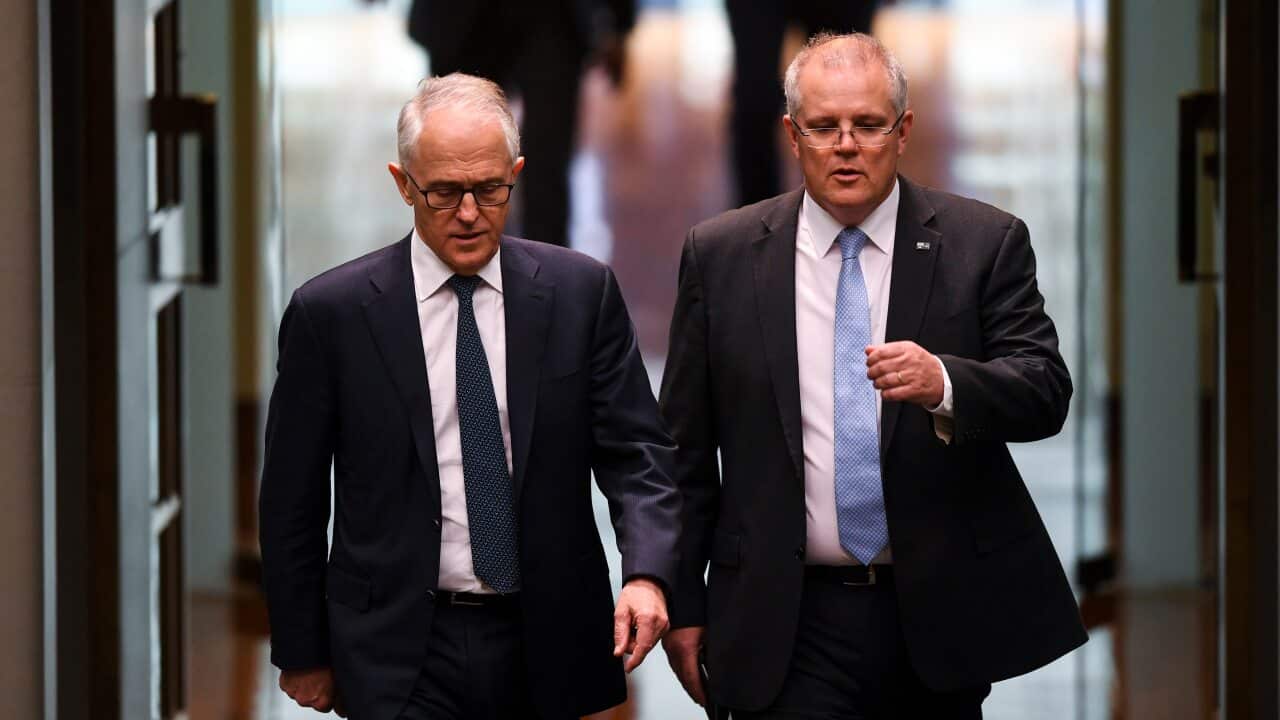 Mr Turnbull criticised Mr Morrison's bid to portray himself as the "daggy dad" from the suburbs during the election campaign as cringe-worthy.