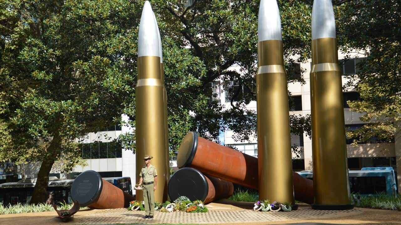Tribute artwork to Indigenous diggers in Sydney's Hyde Park.