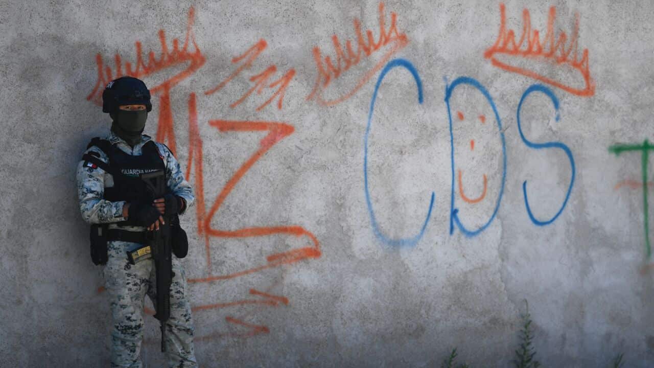A Mexican soldier stands guard next to some graffiti of the drug trafficker Mayo Zambada and the criminal group "Cartel de Sinaloa" in Palmas Altas village, Mexico.