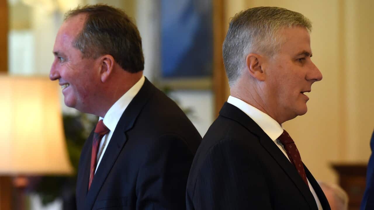 Deputy Prime Minister Barnaby Joyce and Michael McCormack.