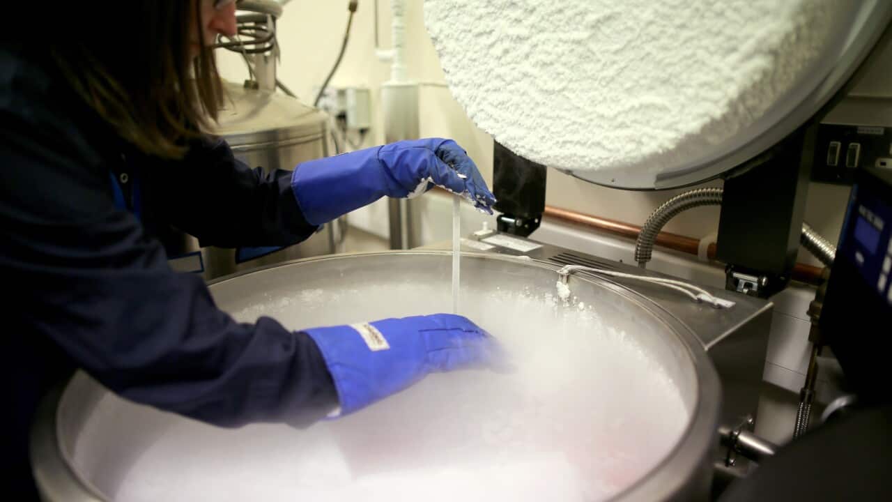 A science practitioner monitors sperm and embryo samples in the cryo store at Birmingham Women's Hospital fertility clinic, Jan 22, 2015 in Birmingham, England. (Christopher Furlong/Getty Images)