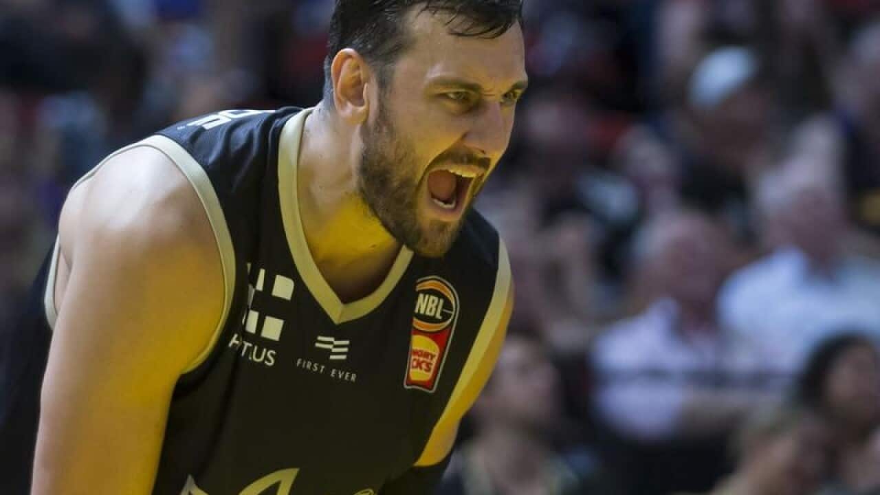 Andrew Bogut