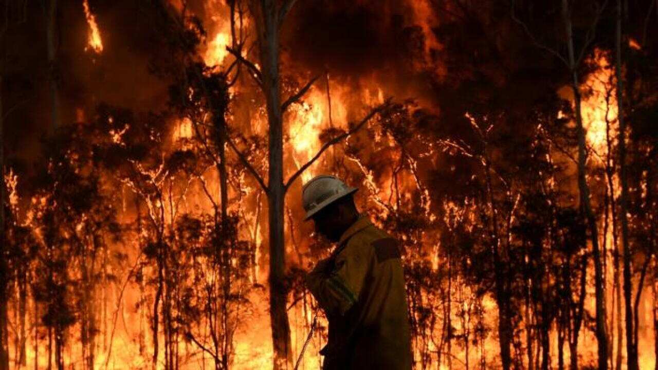Bushfire