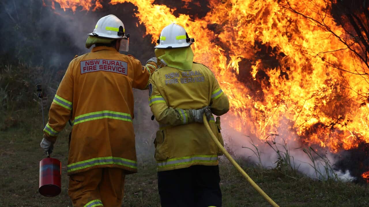 Firefighters battle bushfires in northern NSW. There's fears ash from the fires will contaminate drinking water.