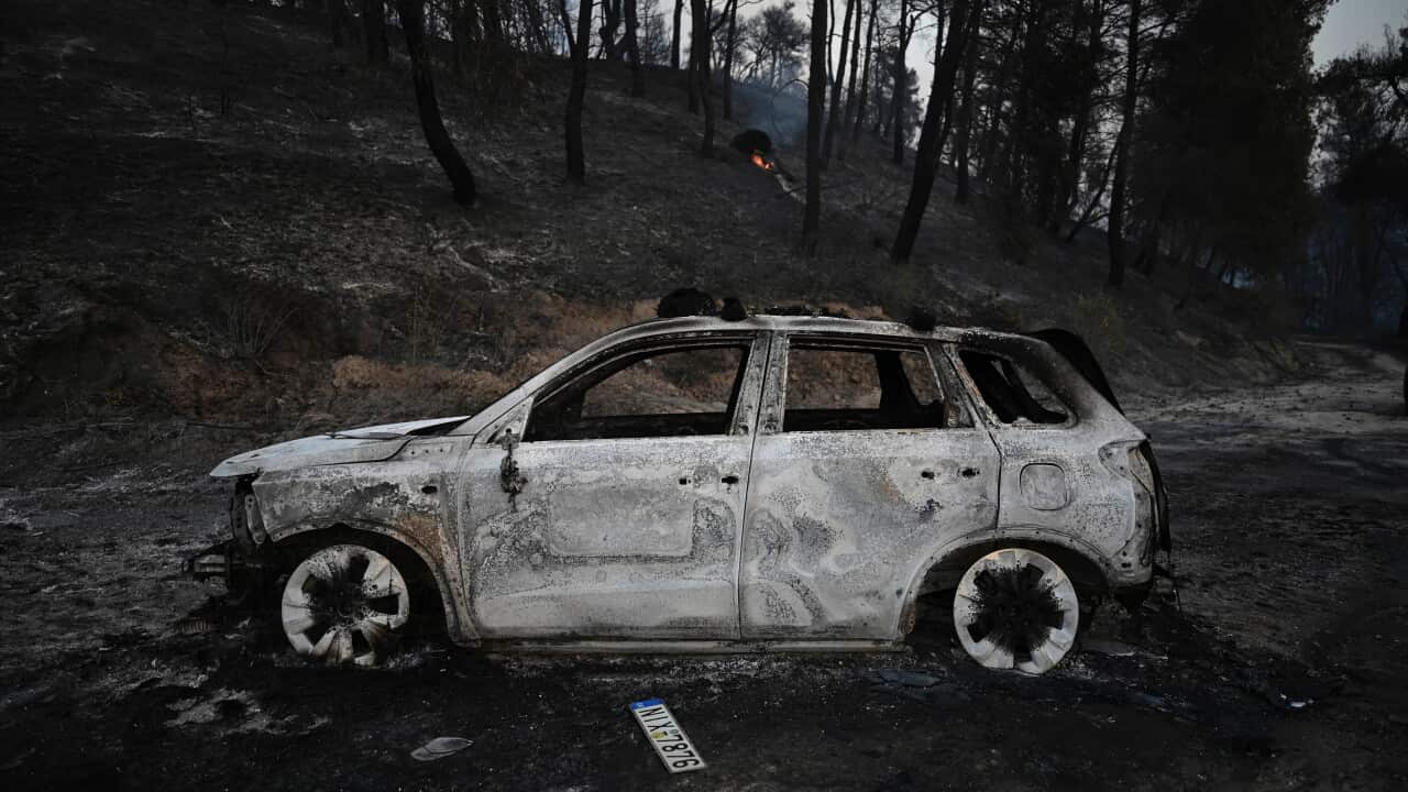 Greece Wildfire