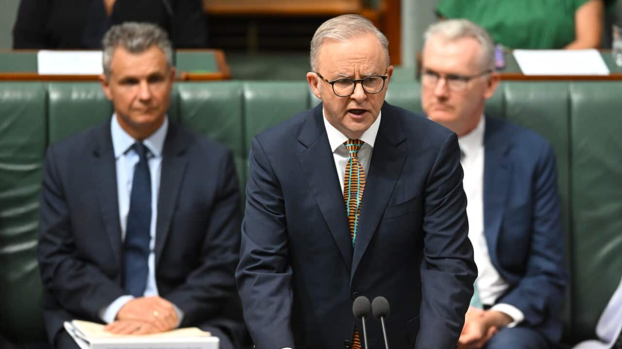 ANTHONY ALBANESE CLOSING THE GAP STATEMENT